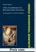Trika: Grundthemen des kaschmirischen S'ivaismus: Salzburger Theologische Studien 21. Interkulturell 1